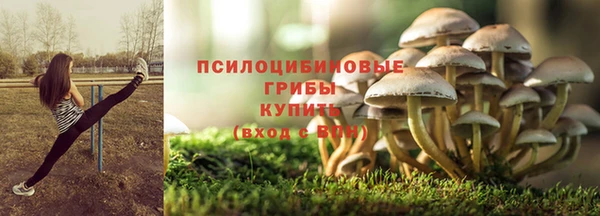 шишки Алзамай