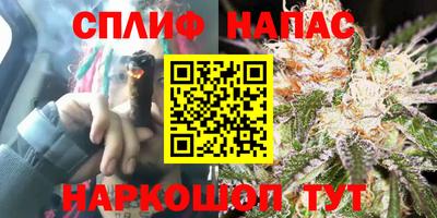 круглые Камышлов