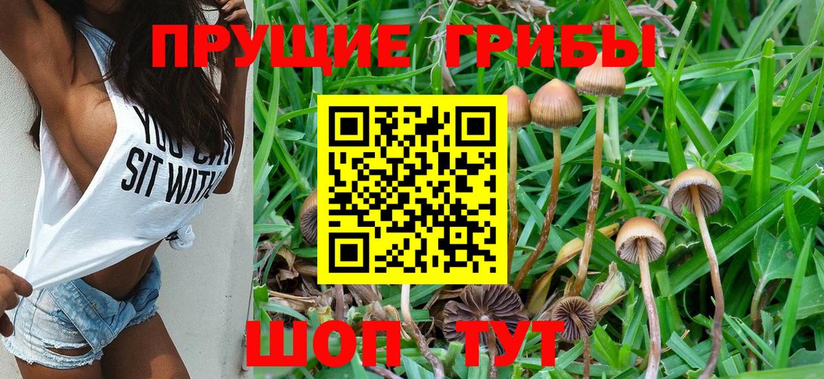 Галлюциногенные грибы MAGIC MUSHROOMS Красноуфимск